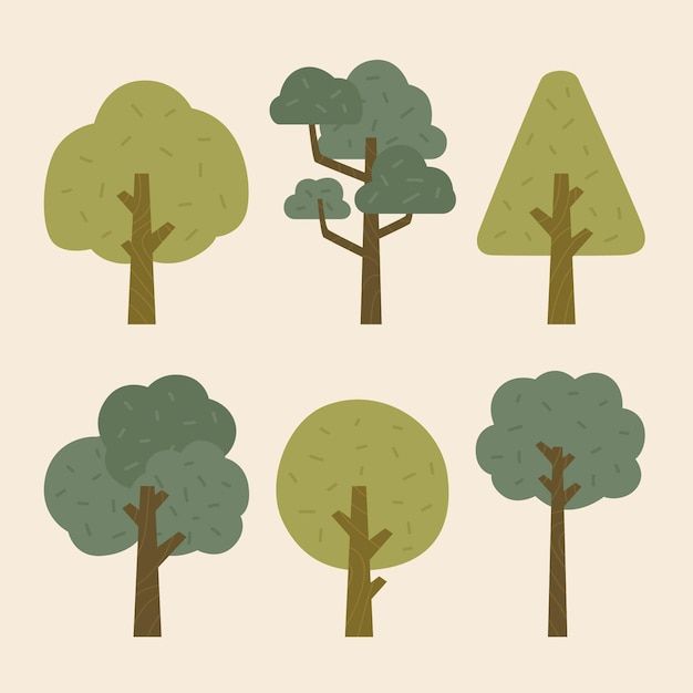 four different types of trees with green leaves on the top and bottom, in various colors