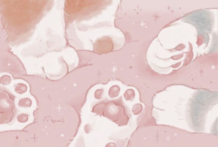 a cat laying on top of a pink blanket next to two paws and paw prints