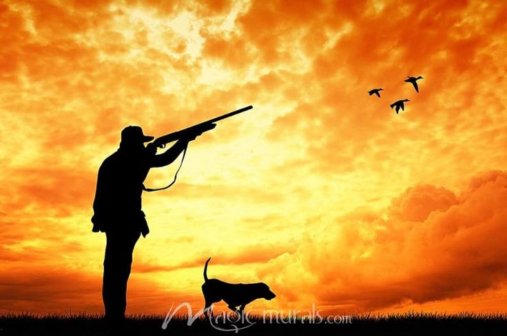 Duck Hunting Cakes, Hunting Themed Bedroom, Hunting Wallpaper, Cats Orange, Goose Hunting, Duck Hunt, Silhouette Stencil, Rubber Mat, Duck Hunting