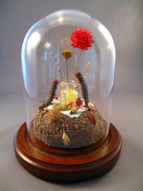 a glass dome with flowers inside on a wooden base and a red flower in the middle