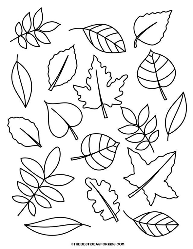 fall leaves coloring pages for kids to print out and color on the page is an easy way