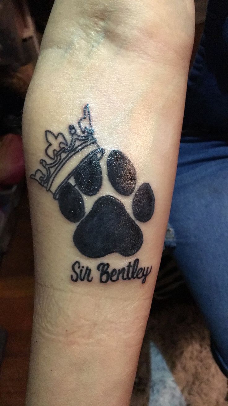 a dog's paw with a crown on it and the words, sun bentley