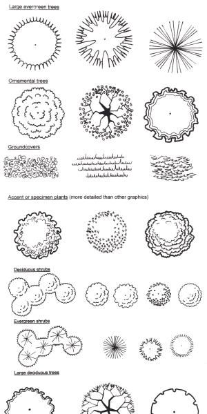 an image of different types of trees in black and white, including the top one with many