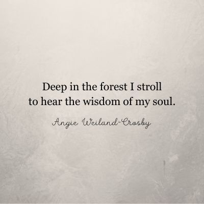 an image of a quote on the wall that says, deep in the forest i stroll to hear the wisdom of my soul