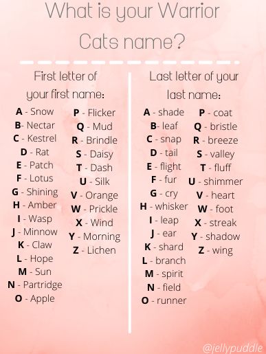 what is your warrior cat's name? poster with pink watercolor background and text