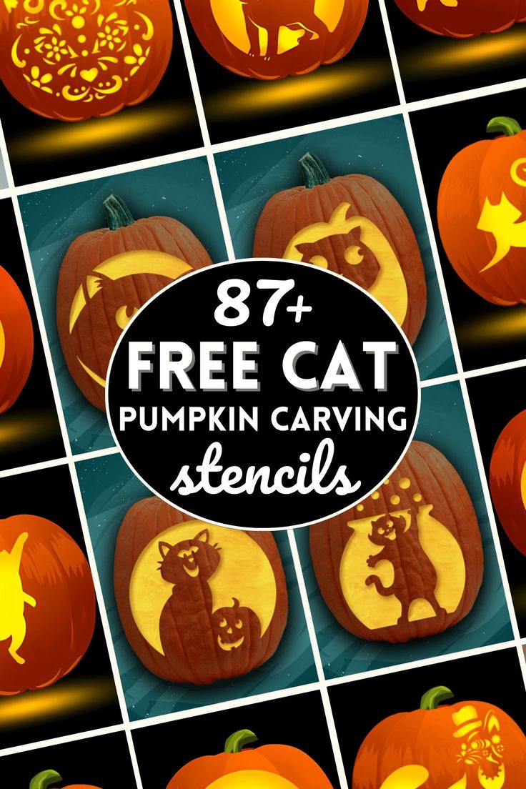 pumpkin carving stencils for cats and dogs