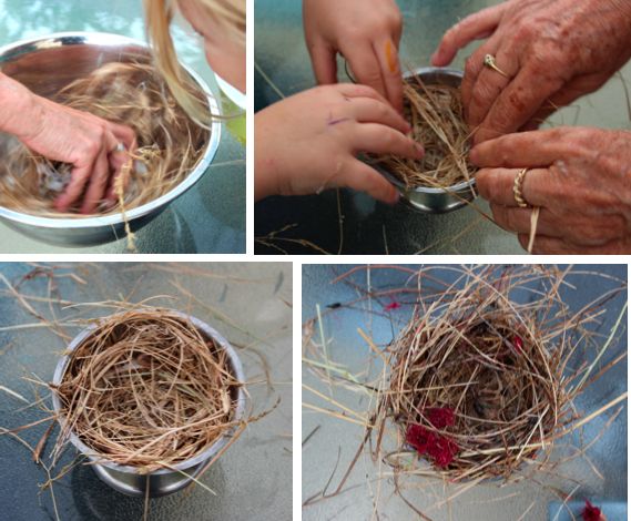 several pictures of people making bird nests out of sticks and twigs, with hands on each side of the bowl