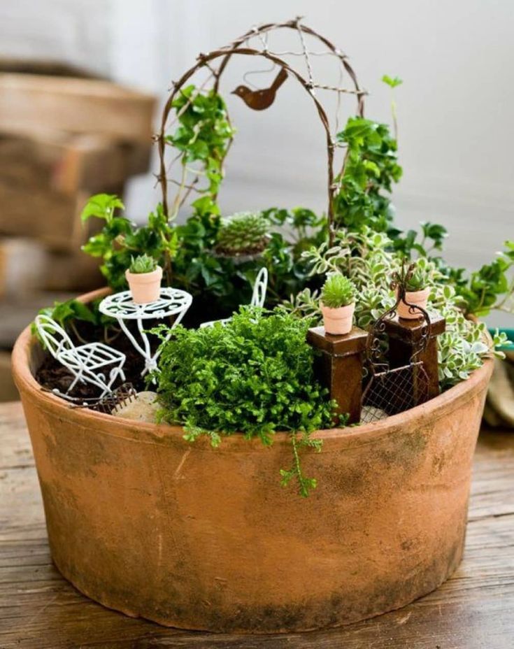 a potted planter filled with lots of green plants on top of a wooden table