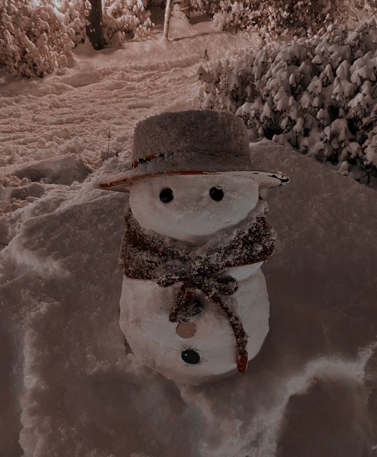 a snowman with a hat and scarf on standing in the snow next to some trees