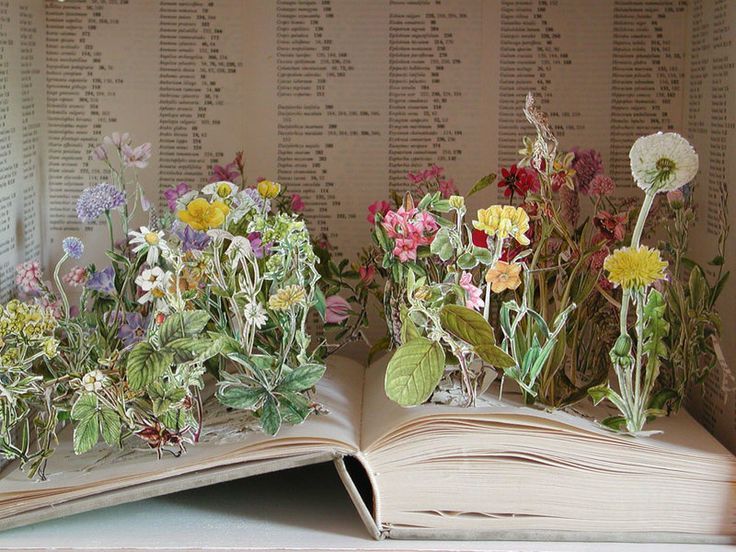 an open book with flowers sitting on top of it