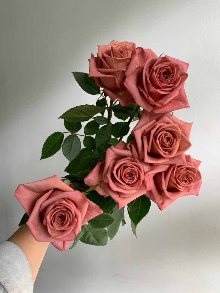 a hand holding a bunch of pink roses with green leaves on it's stems