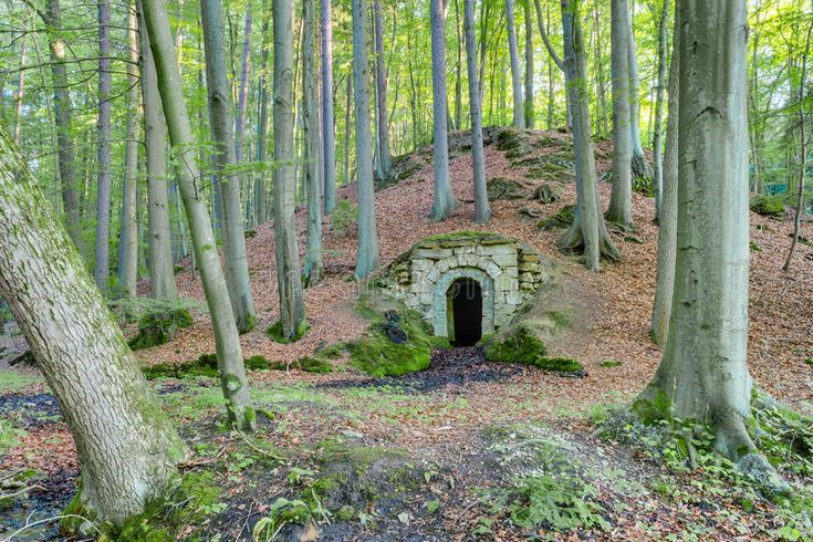 a small stone tunnel in the middle of a forest with lots of trees around it