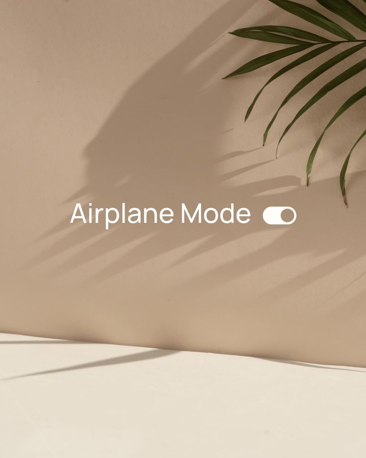 the airplane mode logo is displayed on a wall next to a potted palm tree