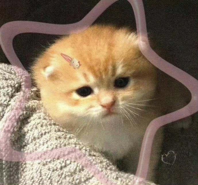 an orange kitten sitting on top of a blanket