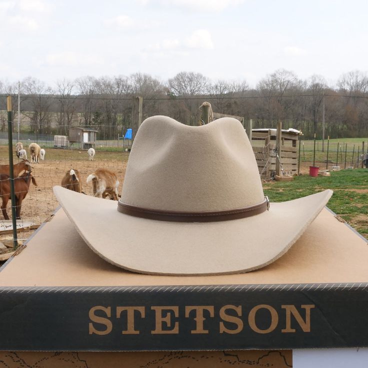 stetson buffalo felt cowboy hat 4x seneca Cheap Flat Brim Cowboy Hat For Ranch, Luxury Rigid Cowboy Hat For Men, Luxury Western Cowboy Hat With Flat Brim, Luxury Southwestern Cowboy Hat For Ranch, Luxury Fitted Cowboy Hat For Summer, Cheap Country Cowboy Hat For Ranch, Luxury Handmade Cowboy Hat For Ranch, Luxury Adjustable Cowboy Hat For The Ranch, Cheap Country Style Cowboy Hat For Ranch