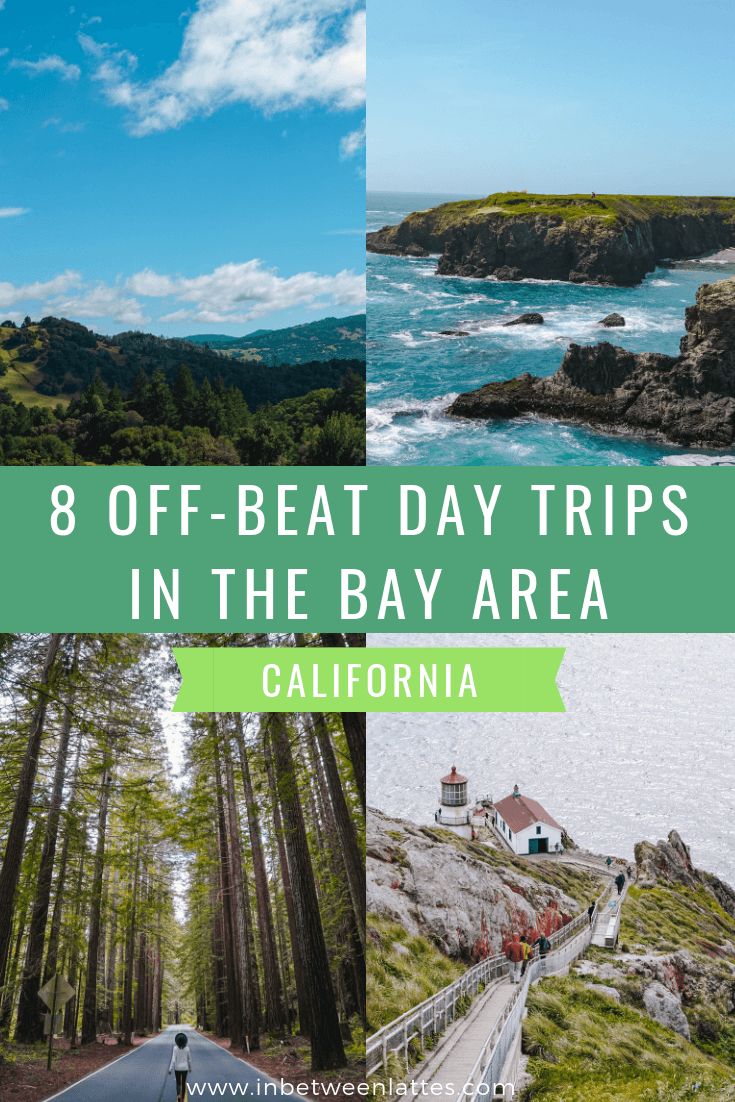 the coastline with text overlay that says 8 off - beat day trips in the bay area