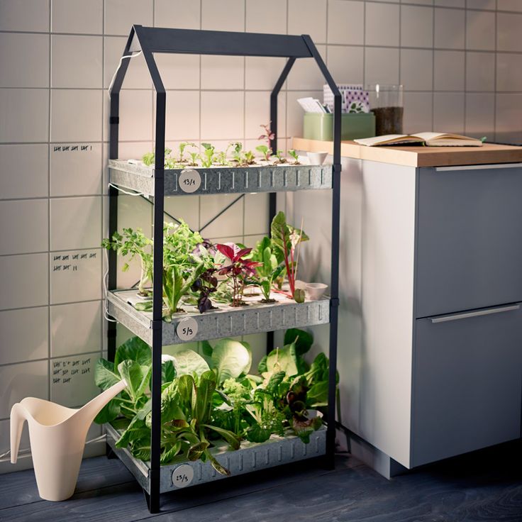 a shelf filled with lots of plants next to a kitchen counter