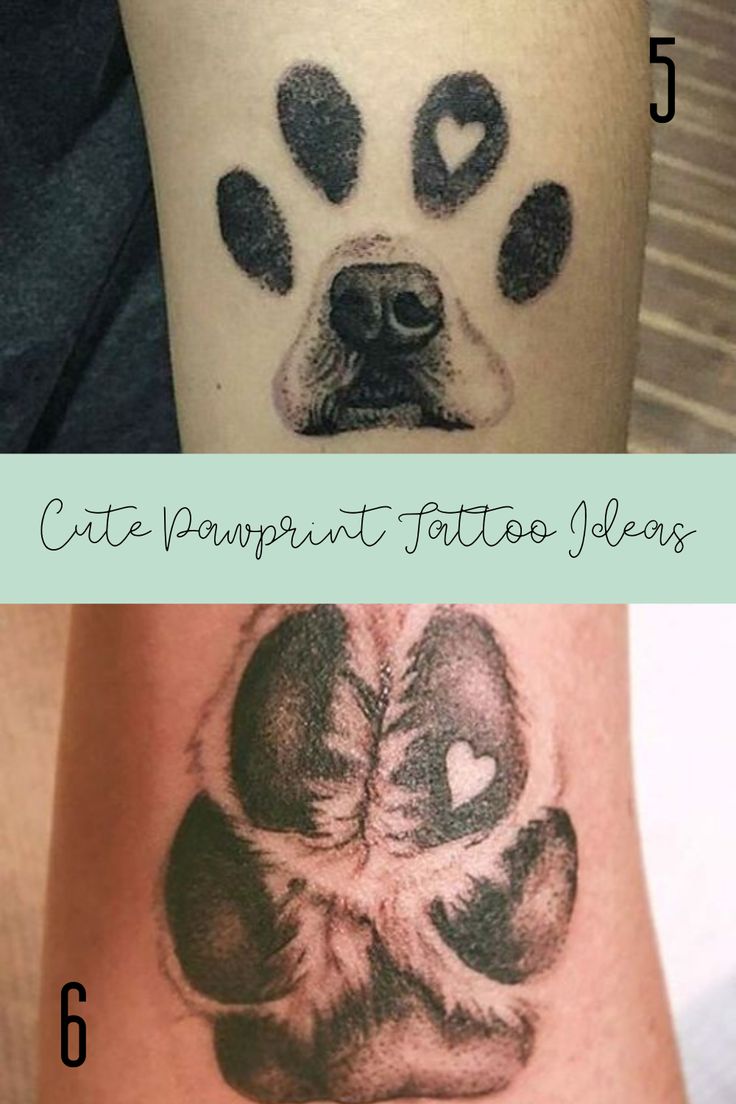 Dogs and cats are better than humansHere are 33 pawprint tattoo ideas to celebrate your best furry friend and all the love you have for them Nose Print Tattoo Dog, Guy Tattoos Ideas, Pawprint Tattoo Ideas, Puppy Tattoo Ideas, Dog Paw Tattoos For Women, Tattoos For Dogs That Passed, Paw Print Tattoo Ideas, Paw Tattoo Ideas, Paw Print Tattoo Dog