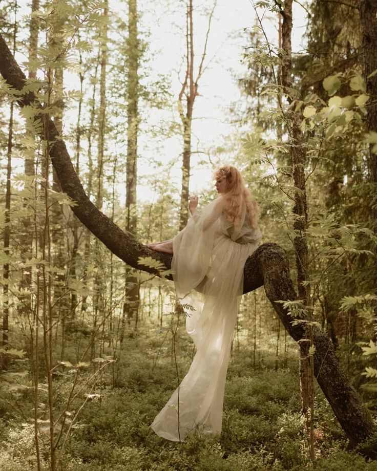 a woman in a white dress is sitting on a tree branch and posing for the camera