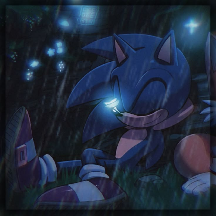 sonic the hedgehog is playing in the rain