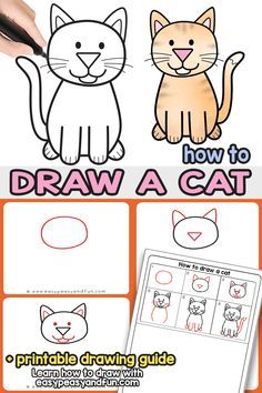 how to draw a cat for kids with pictures and instructions on the front, side and back