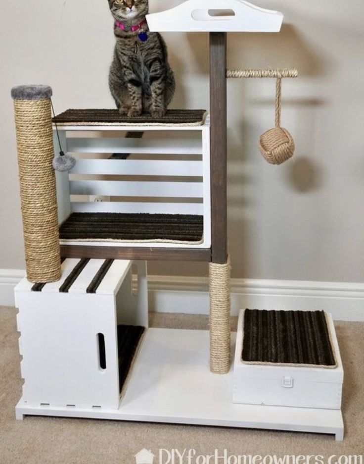 a cat sitting on top of a scratching post next to a toy bird feeder and scratch box