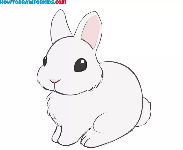 how to draw a cute bunny rabbit step by step