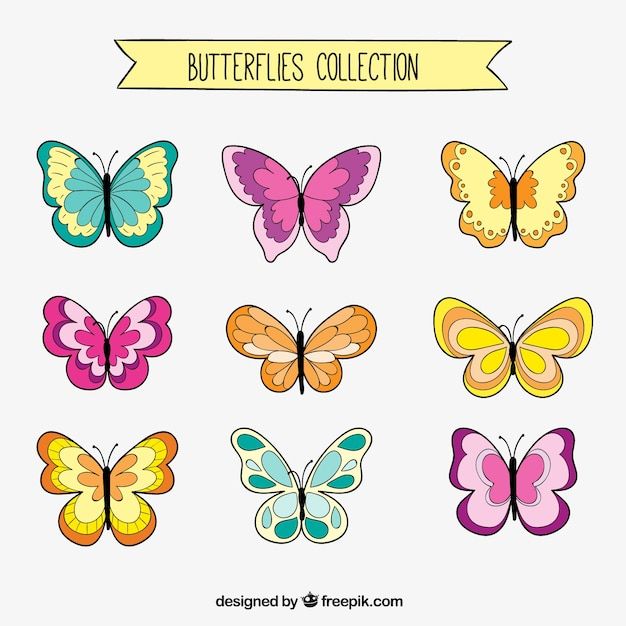 colorful butterflies collection in different colors