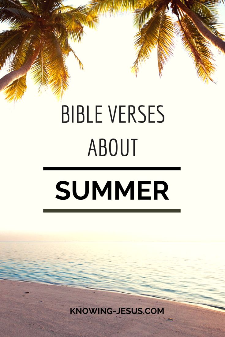 a beach with palm trees and the words bible verses about summer