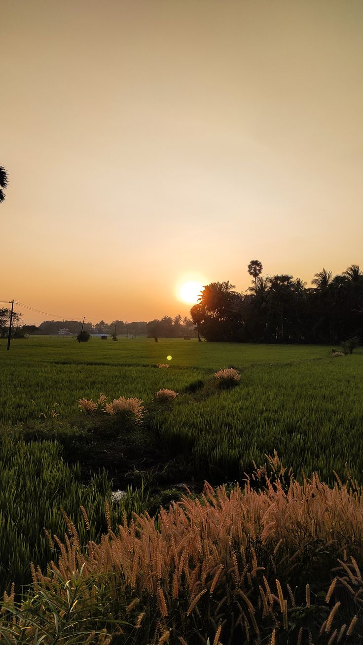 the sun is setting over an open field