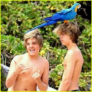 two boys standing next to each other with a blue and yellow parrot on their head