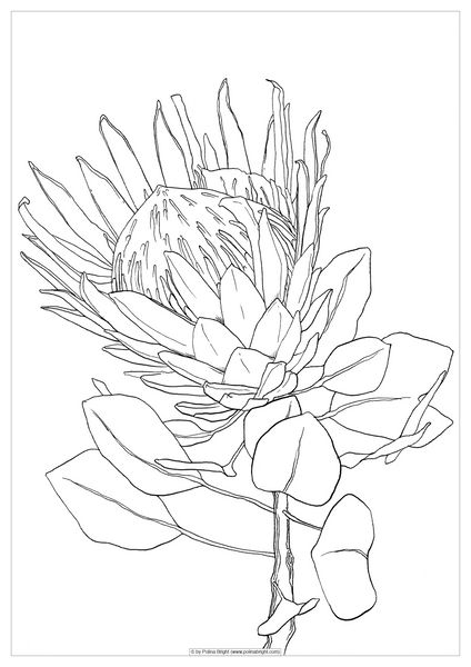 a black and white drawing of a flower