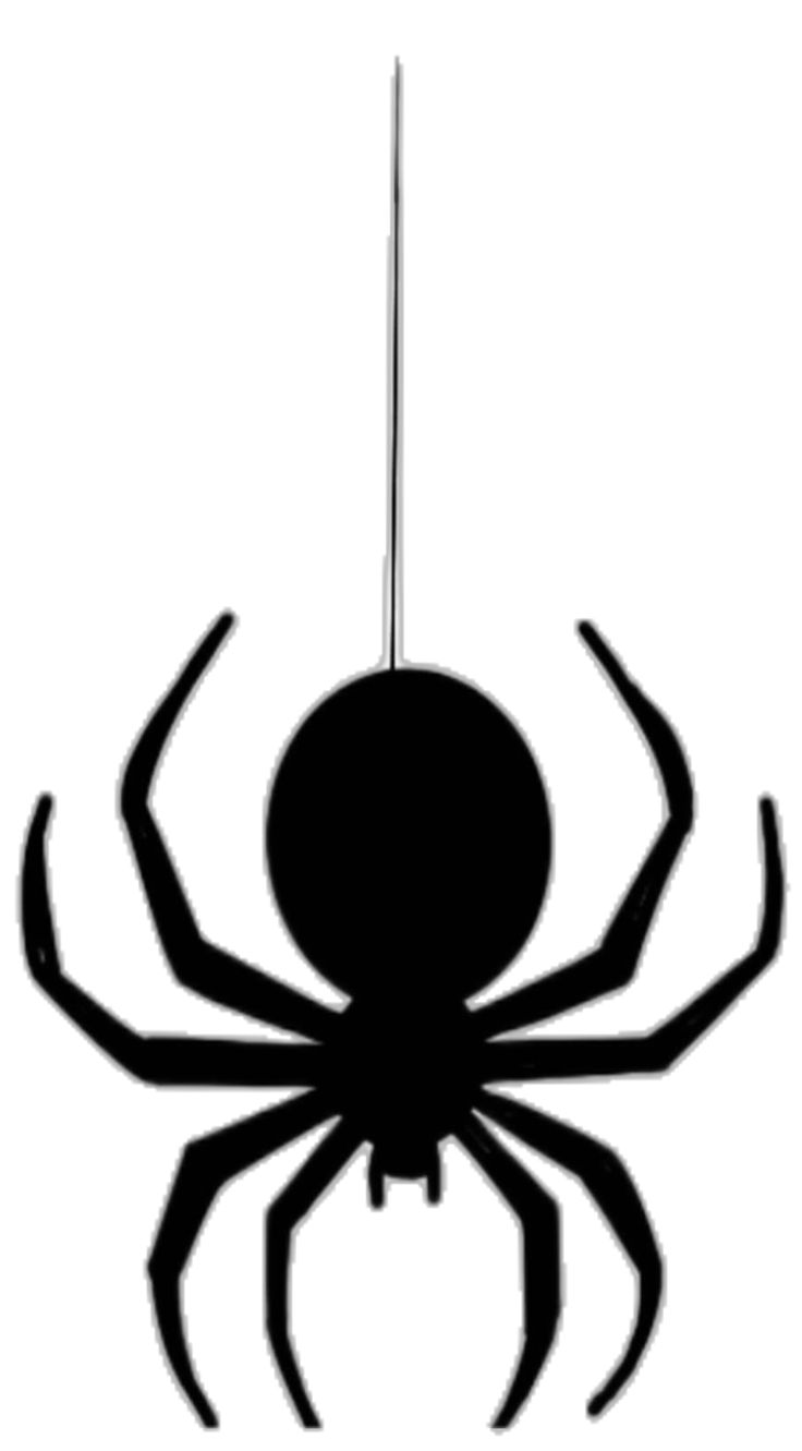 a black and white spider silhouette on a white background