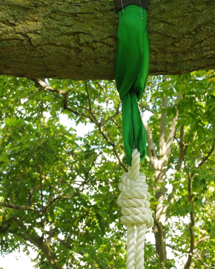 a green and white rope hanging from a tree