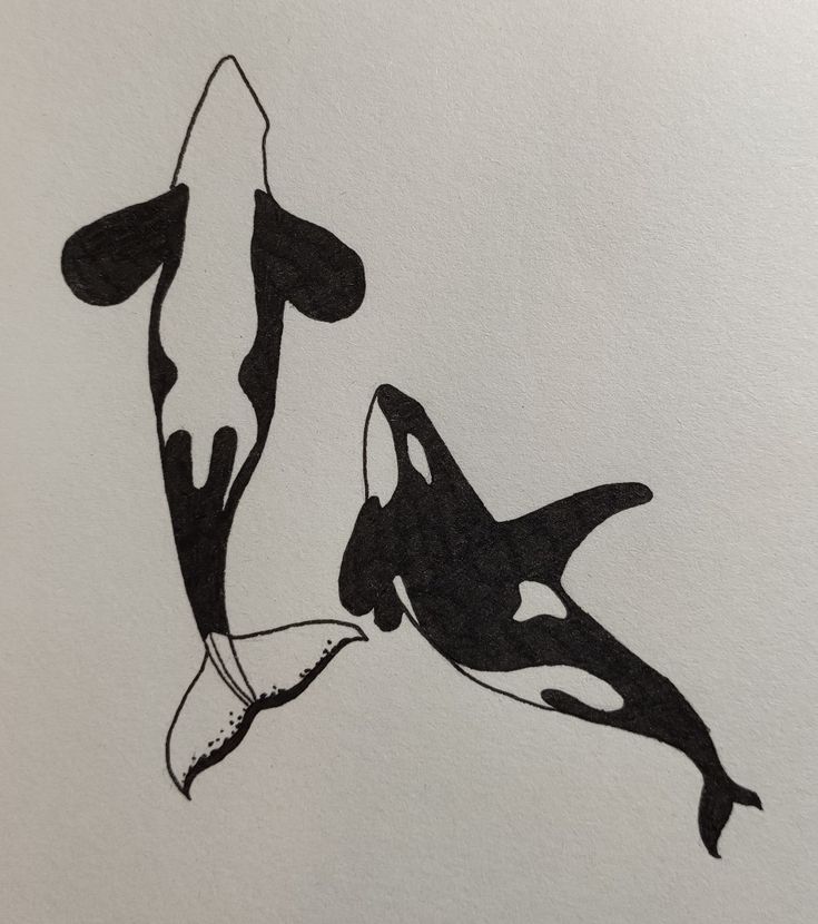 a black and white drawing of two orca killer whale's in mid air