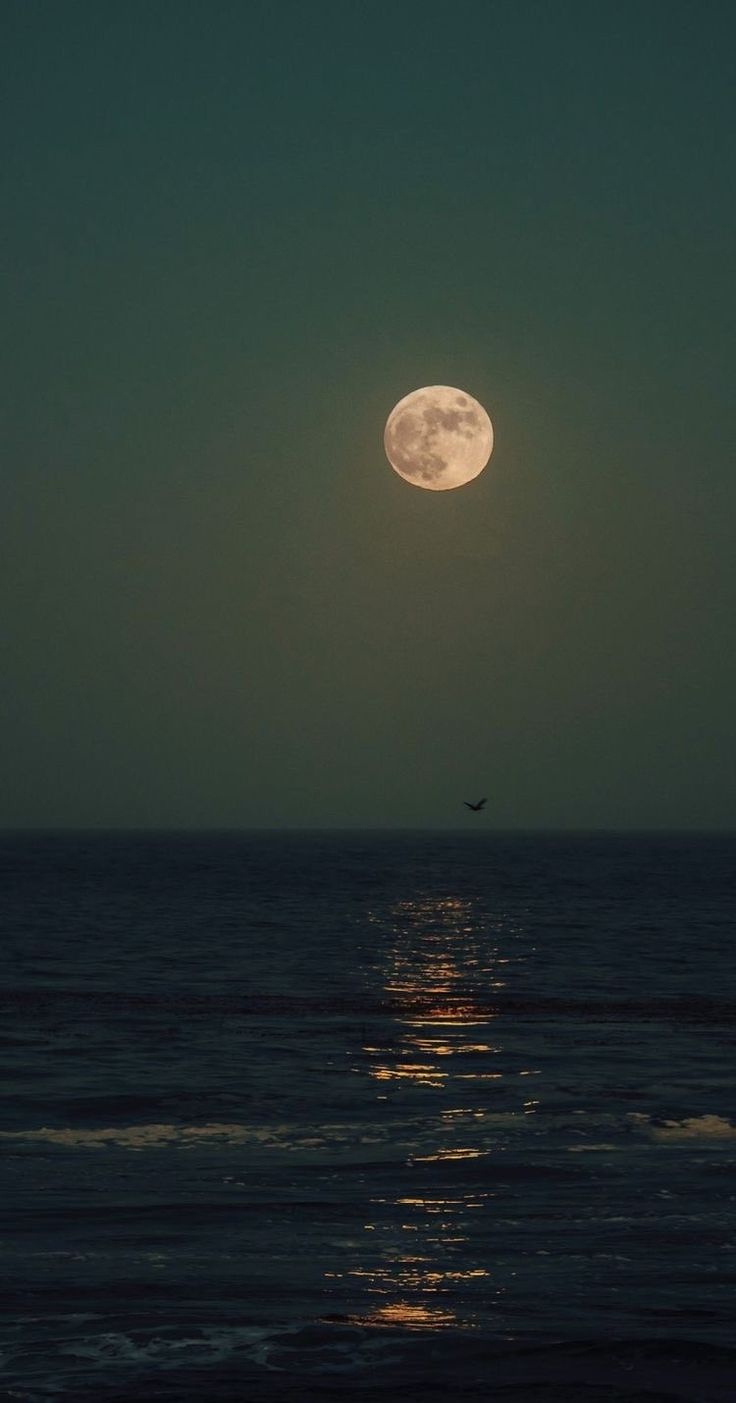 the moon is shining over the ocean at night