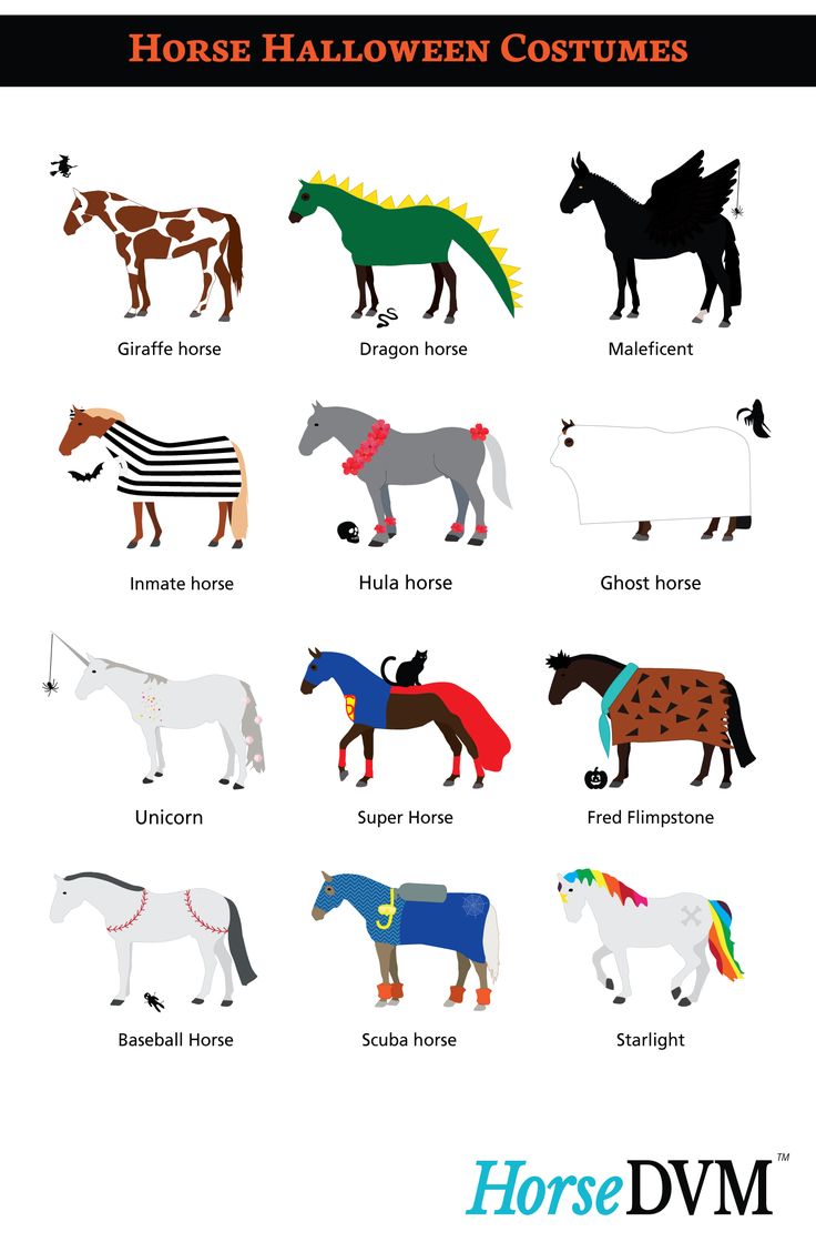 the horse halloween costumes are all different colors and sizes, but there is no image to describe