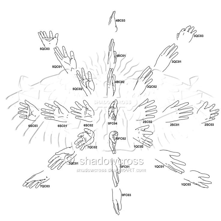 the hand tree is shown in black and white, with many different hands pointing at each other