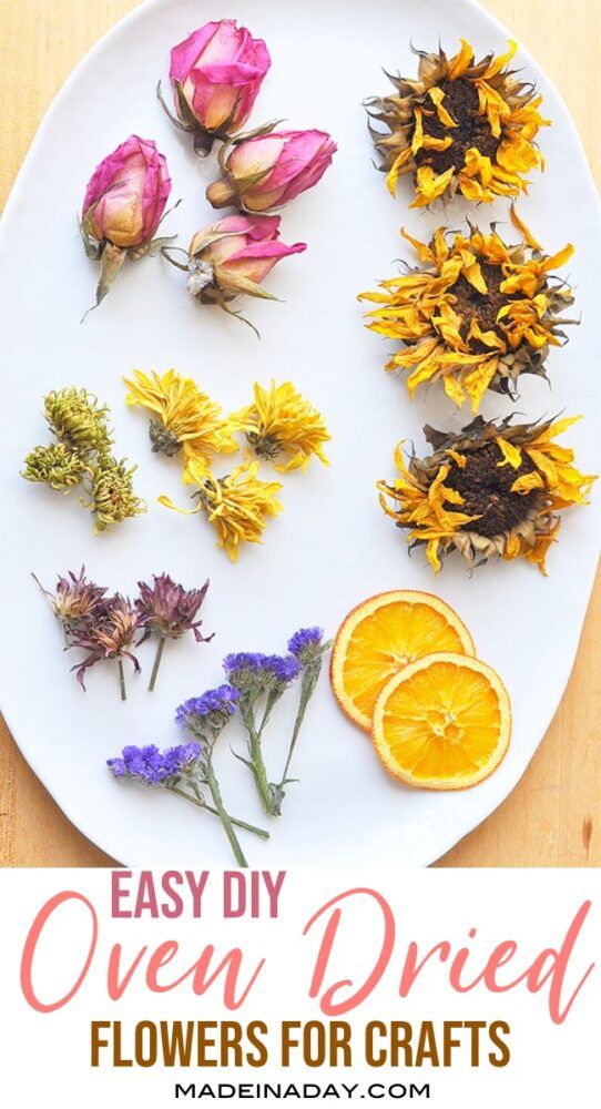 flowers arranged on a plate with the words easy diy open dried flowers for crafts