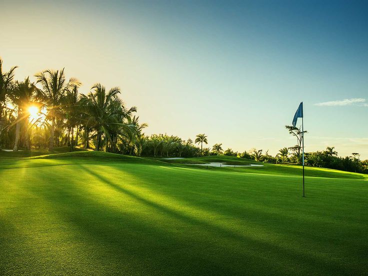 the sun is setting on a golf course with palm trees in the foreground and green grass to the left