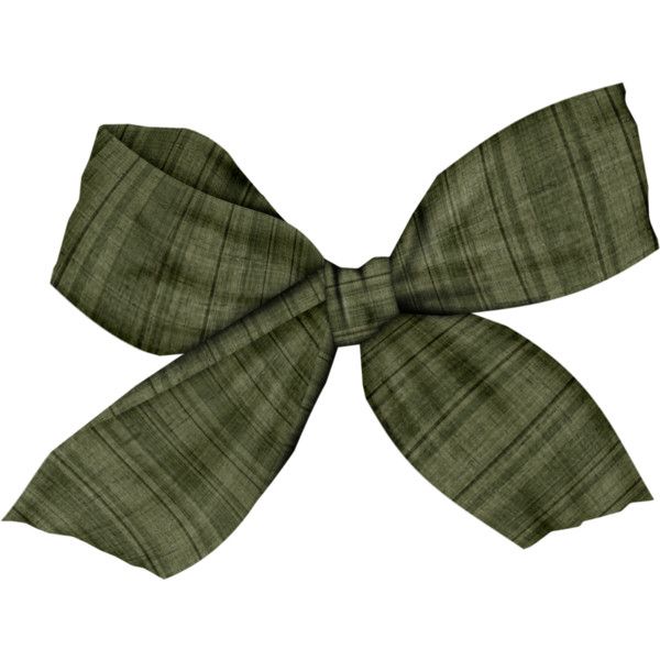 a large green bow on top of a white background