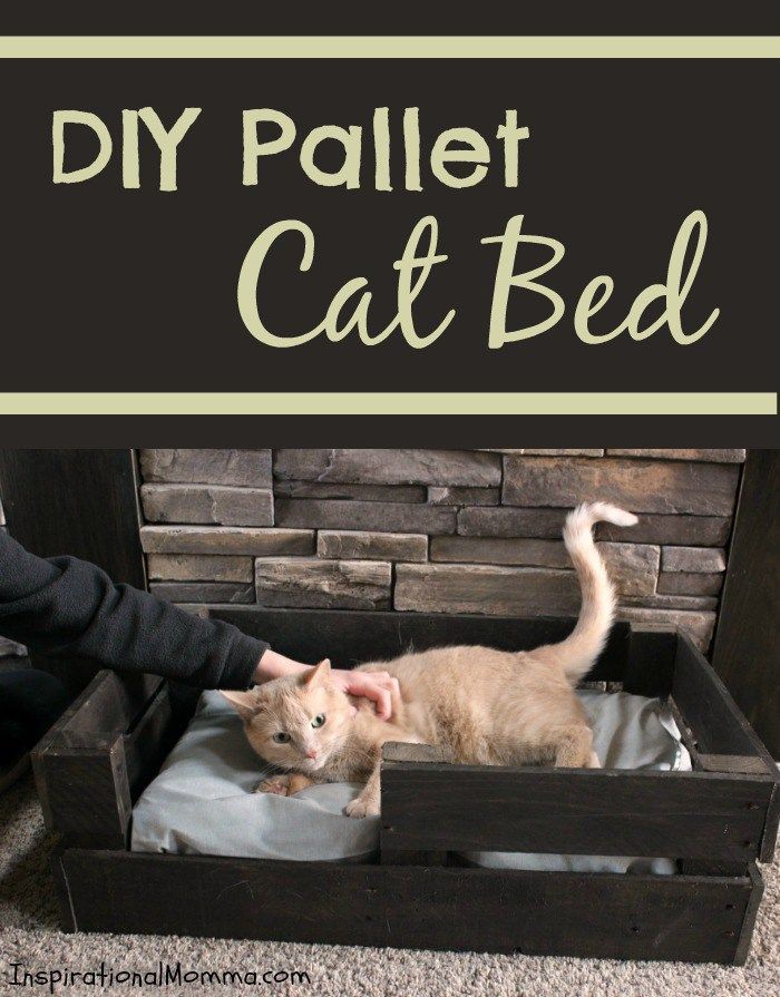 an orange cat laying in a wooden crate with the words diy pallet cat bed