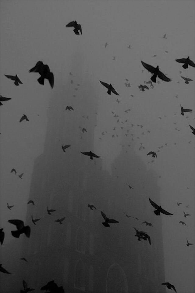 a flock of birds flying in front of a tall building on a foggy day