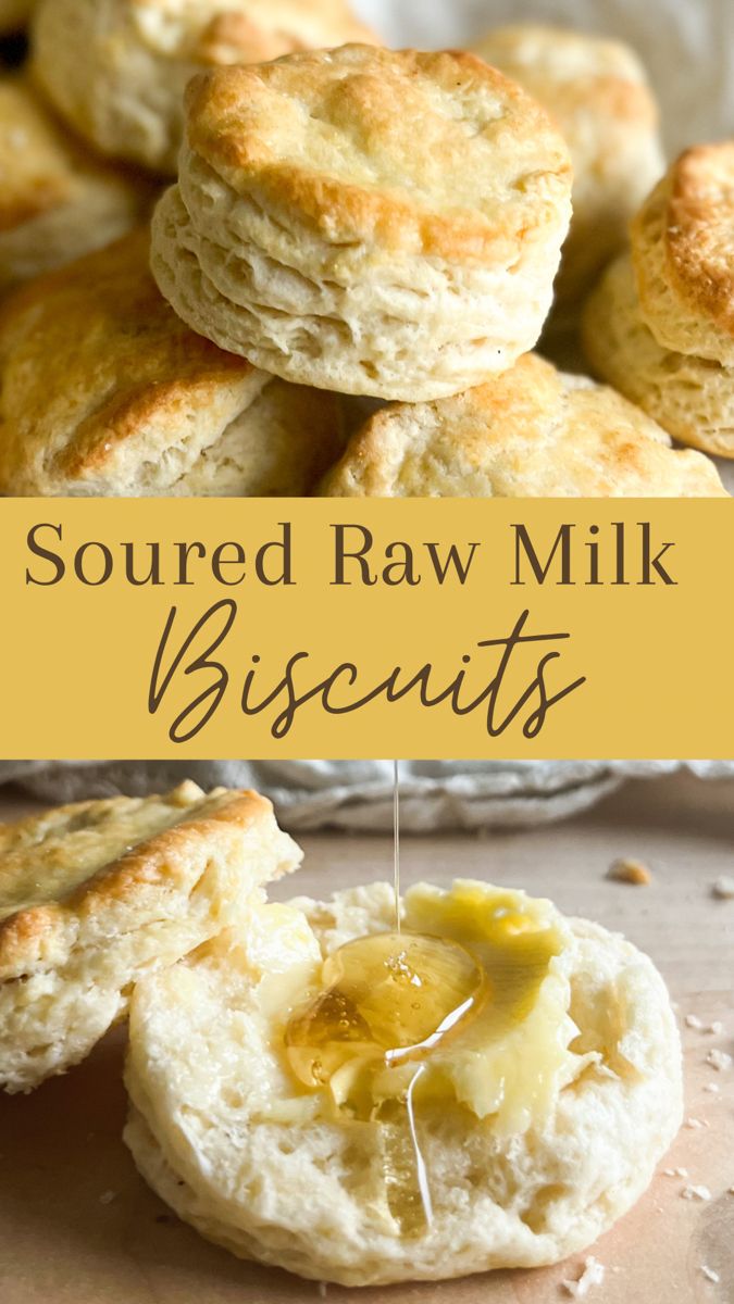 Sour Milk Biscuits Recipe, Sour Milk Biscuits, Soured Milk Recipes, Fresh Milk Recipes, Recipes With Sour Milk, Spoiled Milk Recipes, Sour Milk Recipes Baking, Baking With Milk, Milk Recipes Ways To Use