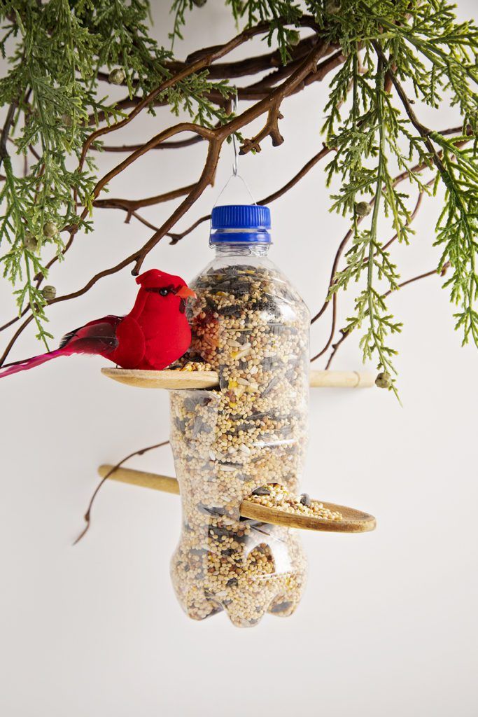 a bird feeder hanging from a tree branch with two birds on it's side