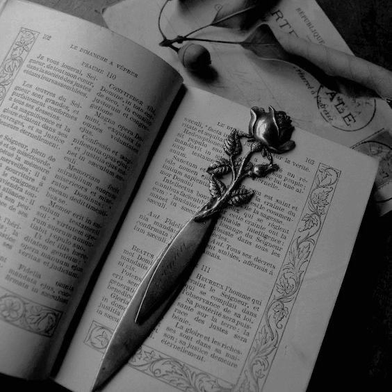 an open book sitting on top of a table next to a knife and flower decoration