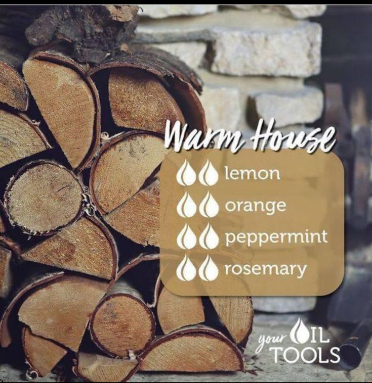 Cozy Home Diffuser Blend, Cozy Essential Oil Blends, Williams Sonoma Diffuser Blend, Cozy Diffuser Blends, Diffuser Scents, Lilin Aroma, Essential Oil Combinations, Essential Oil Diffuser Blends Recipes, Magia Das Ervas