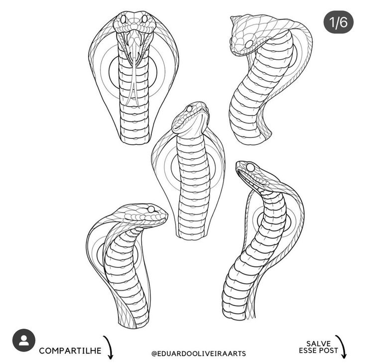 four different types of snakes, each with their own head in the shape of a snake