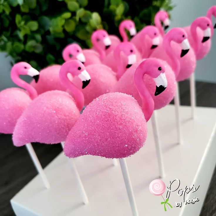 pink marshmallows are arranged on sticks in the shape of flamingo's