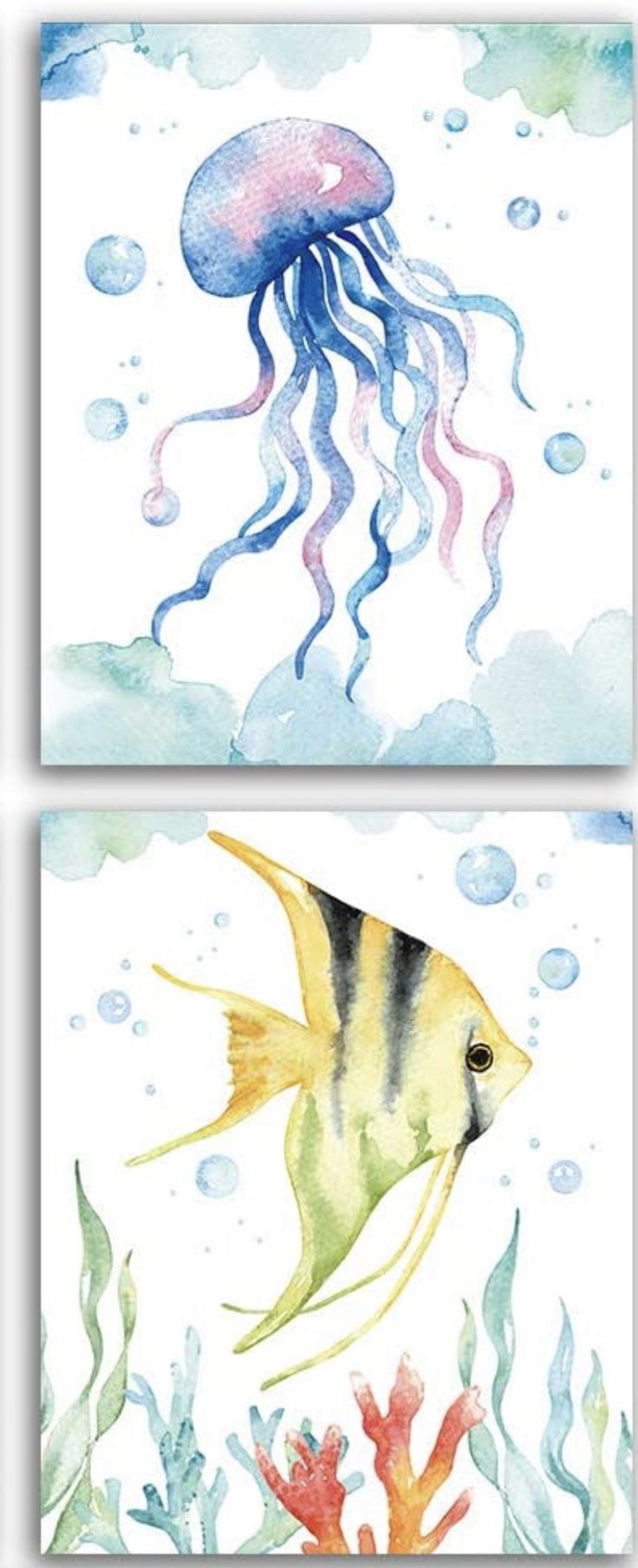 two watercolor paintings of jellyfish and seaweed